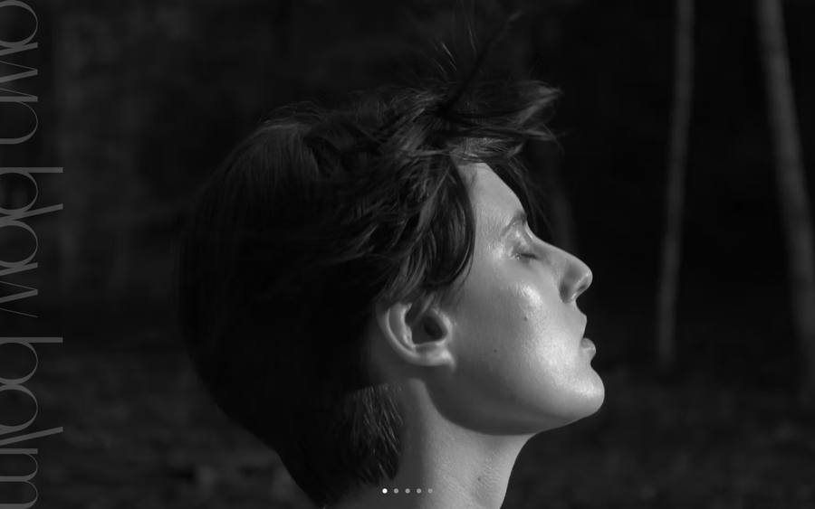 own blow balm のWebサイトのキャプチャ