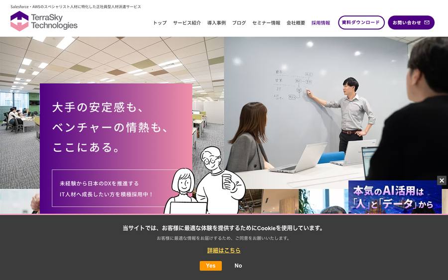 テラスカイ・テクノロジーズ のWebサイトのキャプチャ